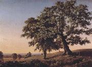 Frederic Edwin Church The Charter Oak oil painting on canvas